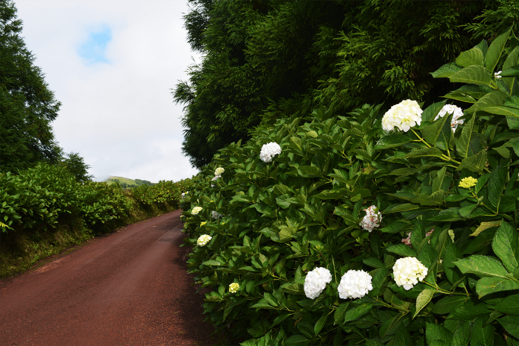 Sete Cidades são miguel lookingaround
