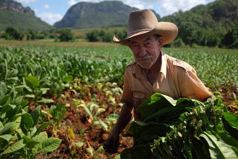 vinales2 viñales cuba looking around