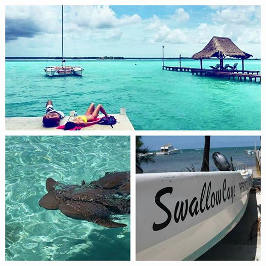 Snorkeling em Caye Caulker