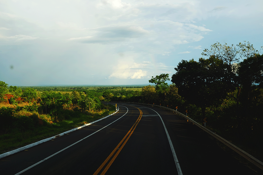 brasil-pantanal-lookingaround.me